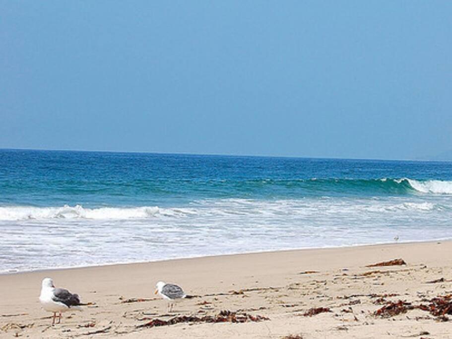 30 Pct Off!! Limited Time! Malibu Charming Getaway With King Bed, Near Beach Экстерьер фото