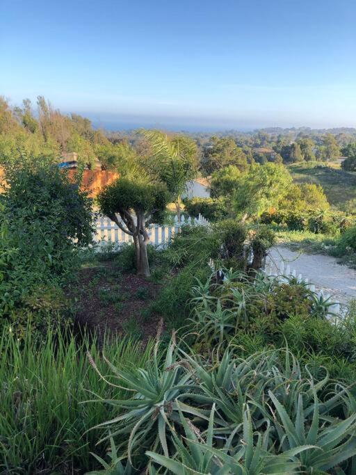 30 Pct Off!! Limited Time! Malibu Charming Getaway With King Bed, Near Beach Экстерьер фото
